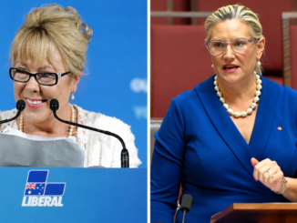 Former Liberal vice-president Teena McQueen and NSW Liberal senator ( left)Hollie Hughes McQueen.