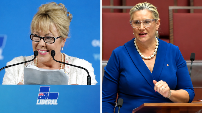 Former Liberal vice-president Teena McQueen and NSW Liberal senator ( left)Hollie Hughes McQueen.